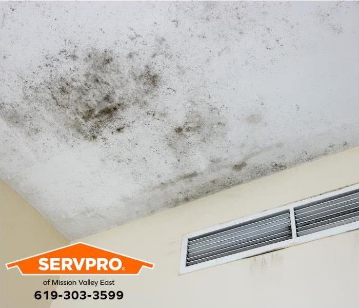 Mold is visible on a ceiling.