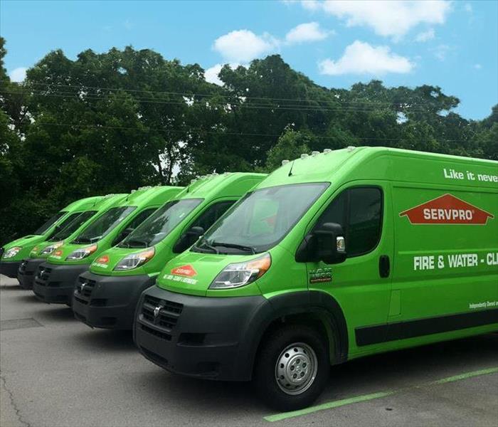 fleet of SERVPRO vans 