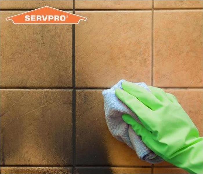 gloved hand cleaning tile wall 