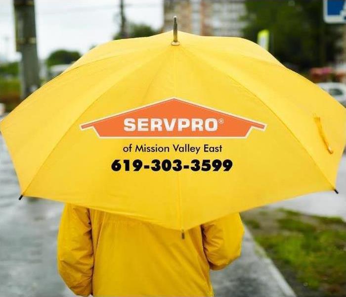person holding yellow umbrella and yellow rain slicker 