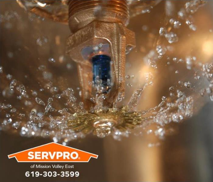 An activated fire sprinkler spays water into a commercial property.