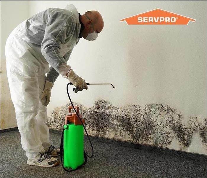 SERVPRO technician spraying to clean mold 